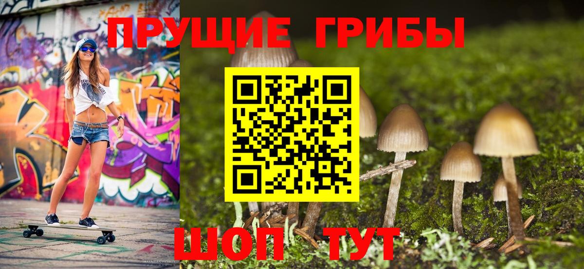 Псилоцибиновые грибы Magic Shrooms  Вход с VPN  Алапаевск 