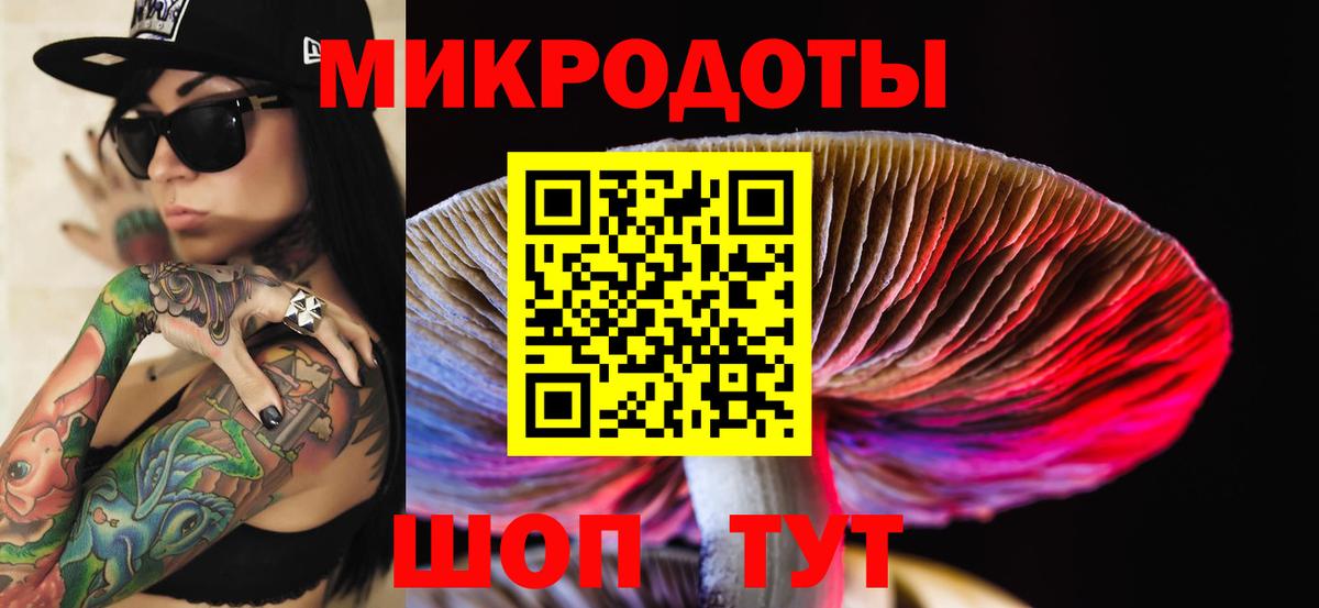 Галлюциногенные грибы Psilocybe Алапаевск