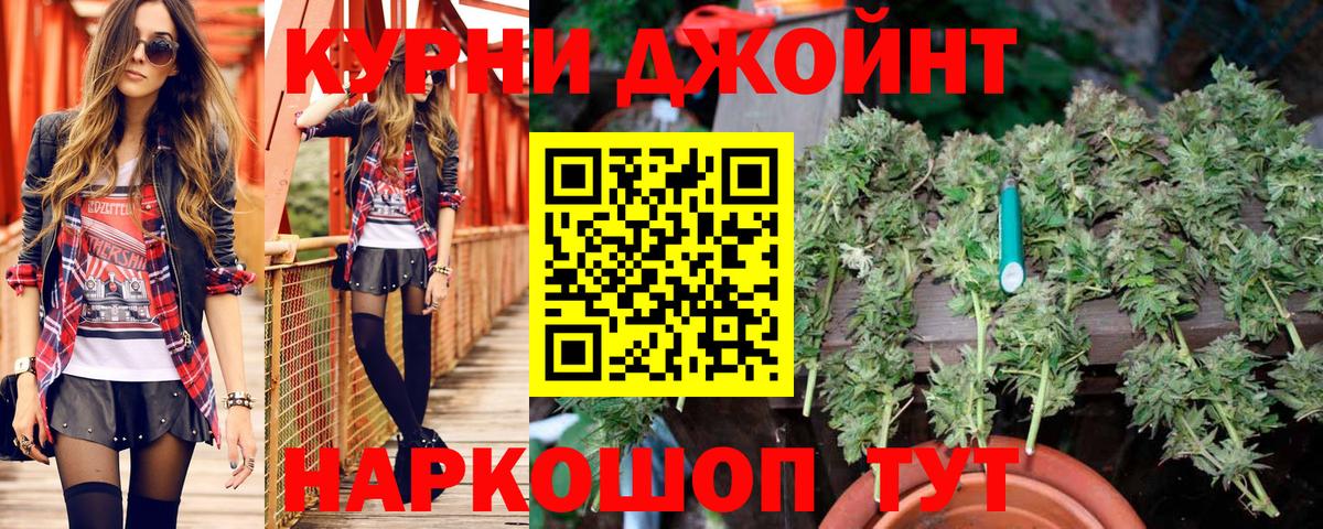 Алапаевск  Каннабис сатива  Каннабис ГИДРОПОН  Вход с VPN  МАРИХУАНА ГИДРОПОН  Шишки марихуана LSD WEED 